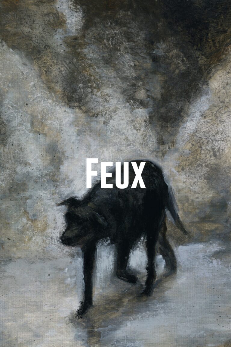 Affiche du film Feux de Mohammad Babakoohi