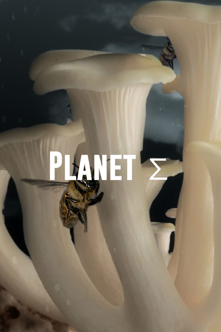 Affiche du film Planet ∑ de Momoko Seto